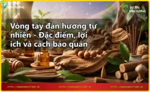 Vòng tay đàn hương tự nhiên cạnh gỗ đàn hương thô