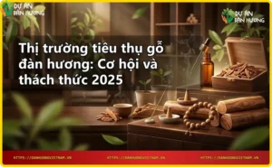 Vườn ươm cây gỗ đàn hương tại Việt Nam, cây xanh tươi tốt, ánh nắng nhẹ